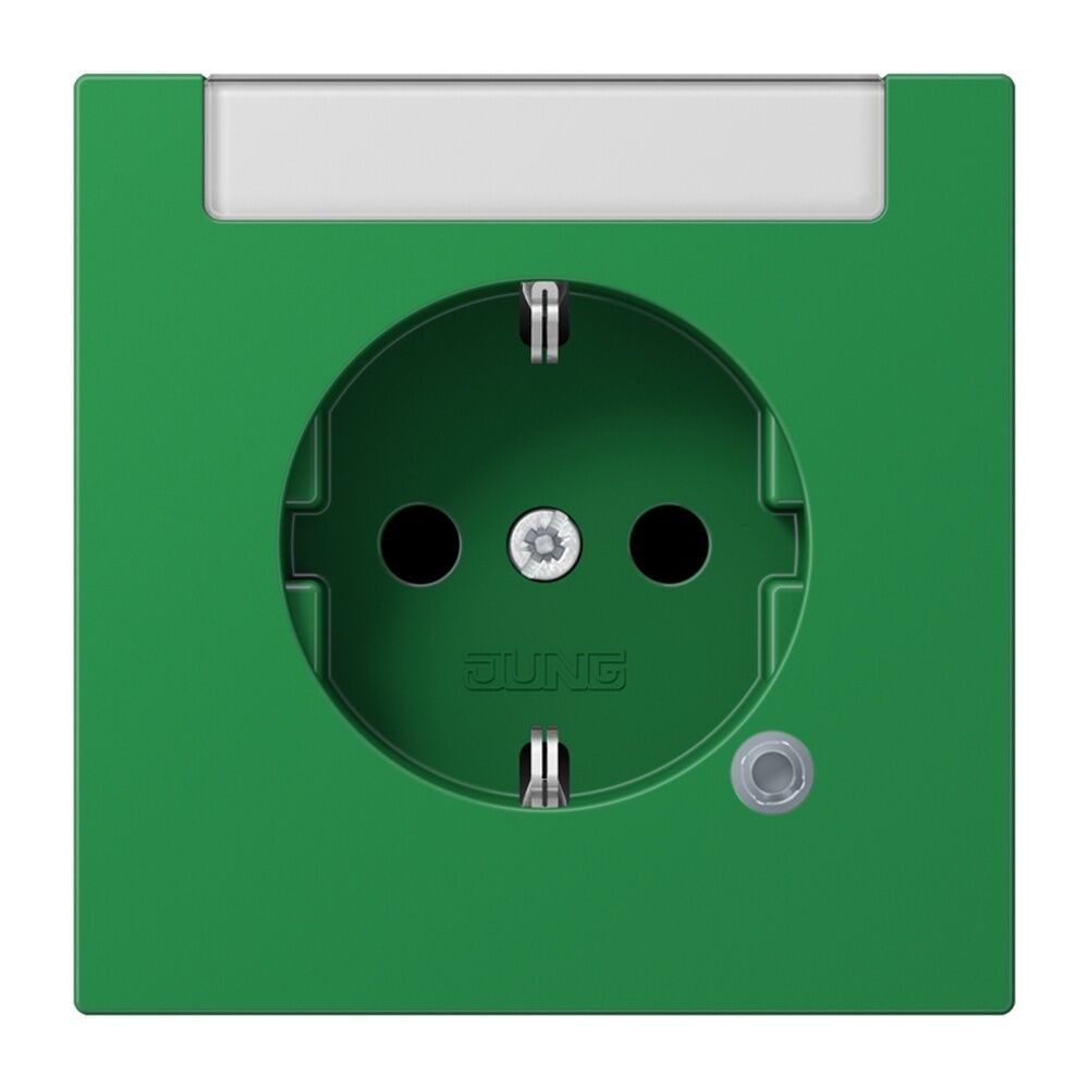 Jung SCHUKO Steckdose LS1520INAKOGN