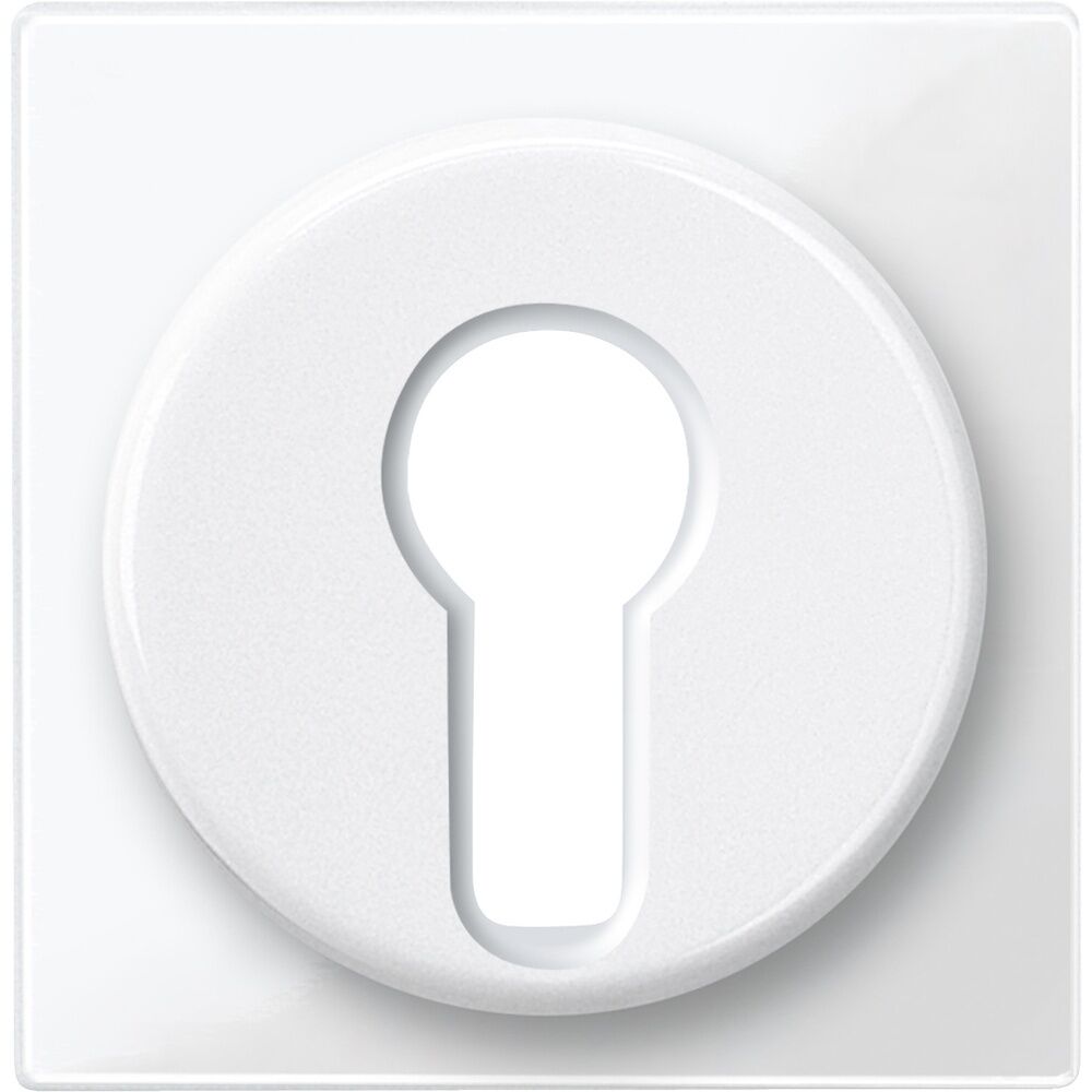 Merten Zentralplatte 319519