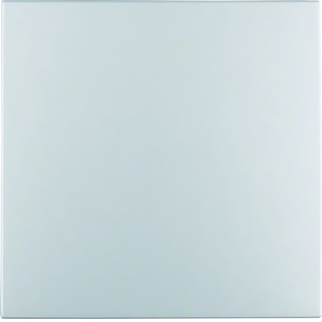 Berker Wippe 16201404