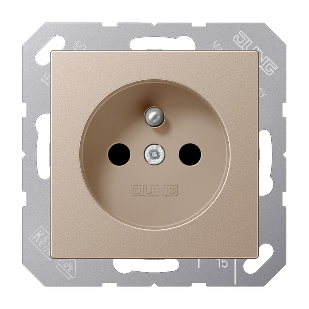 Jung Steckdose A 1520 FKI CH