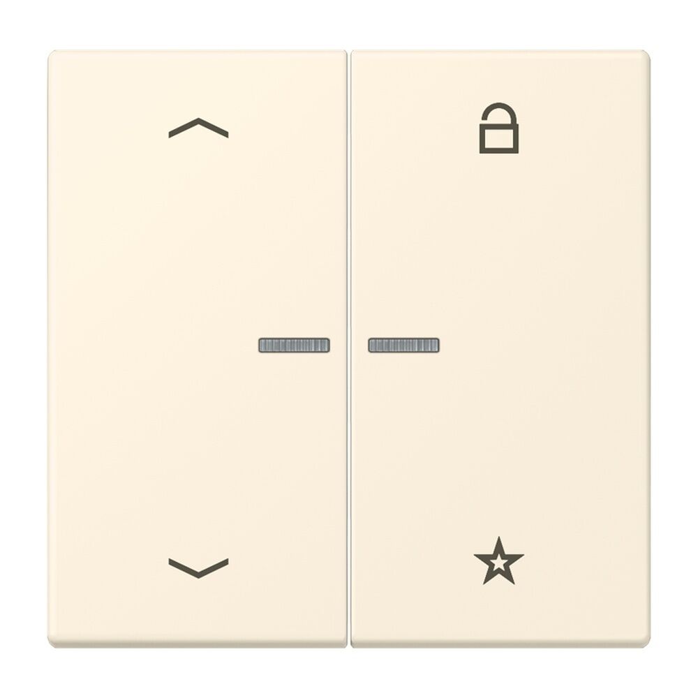 Jung Taster FMLC1701P245