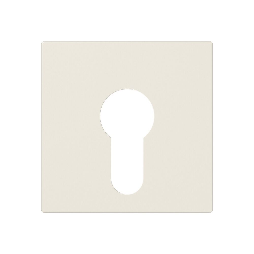 Jung Abdeckung Schlüsselschalter A 525 PL 