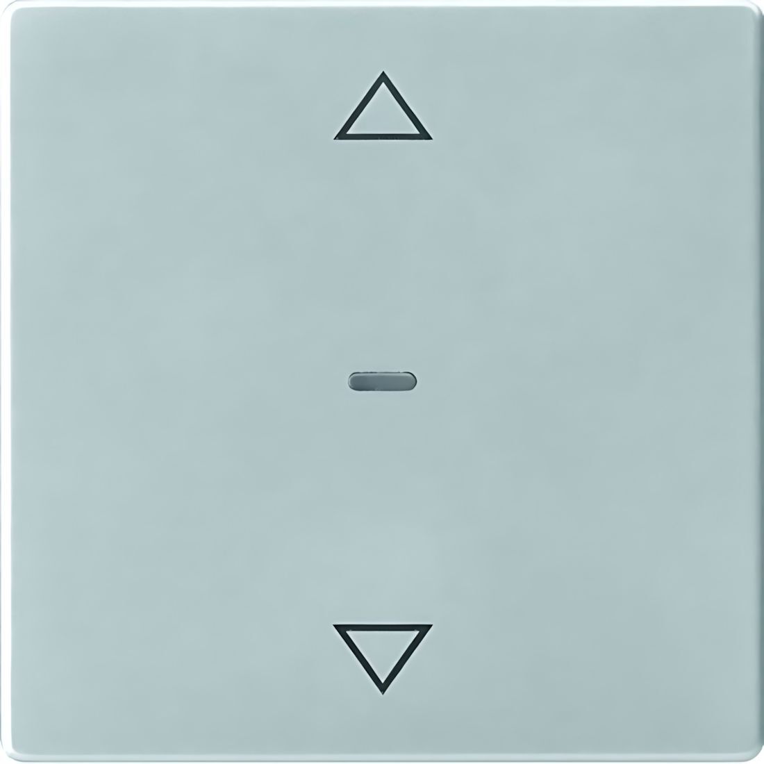 Berker Tastsensor Abdeckung 80961221