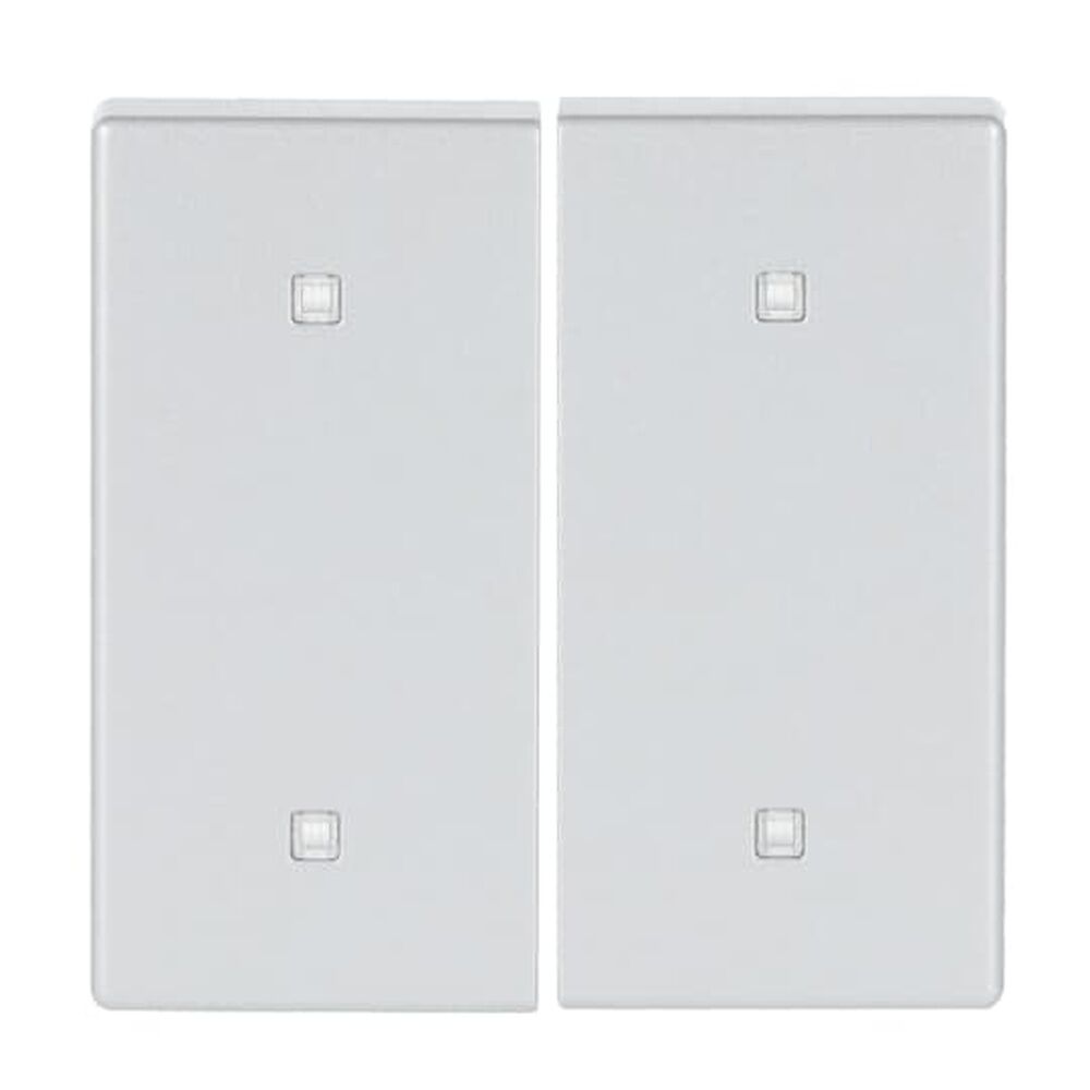 Busch-Jaeger Wippe Elektroniktaster 2fach 2570-20-83 Nr. 2CKA001751A3270