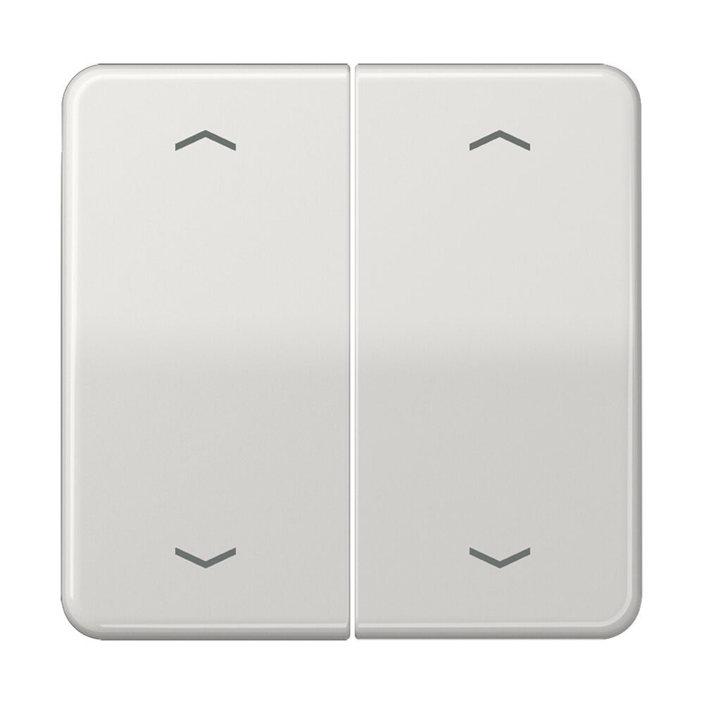 Jung Serienwippe CD102PLG