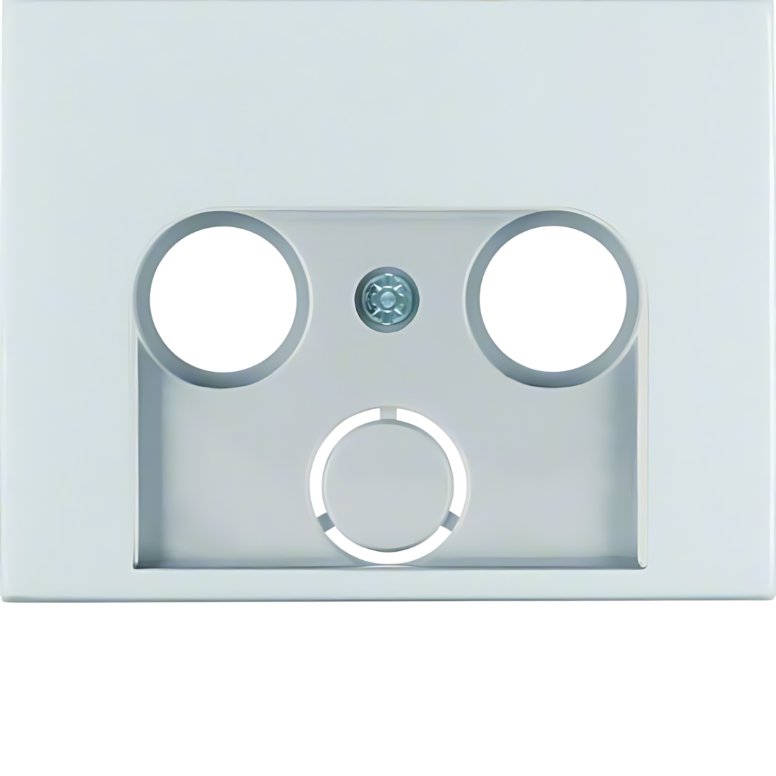 Berker Zentralstück 12017013 