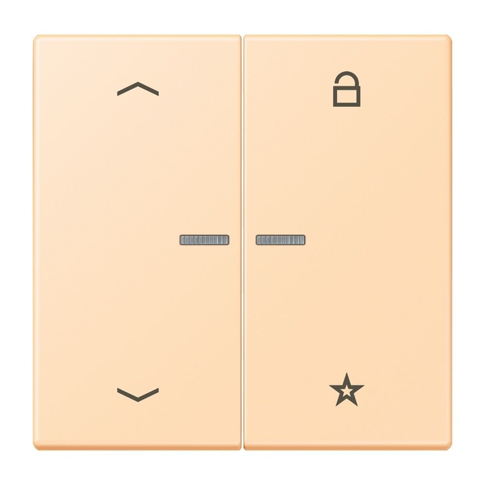 Jung Taster FMLC1701P223