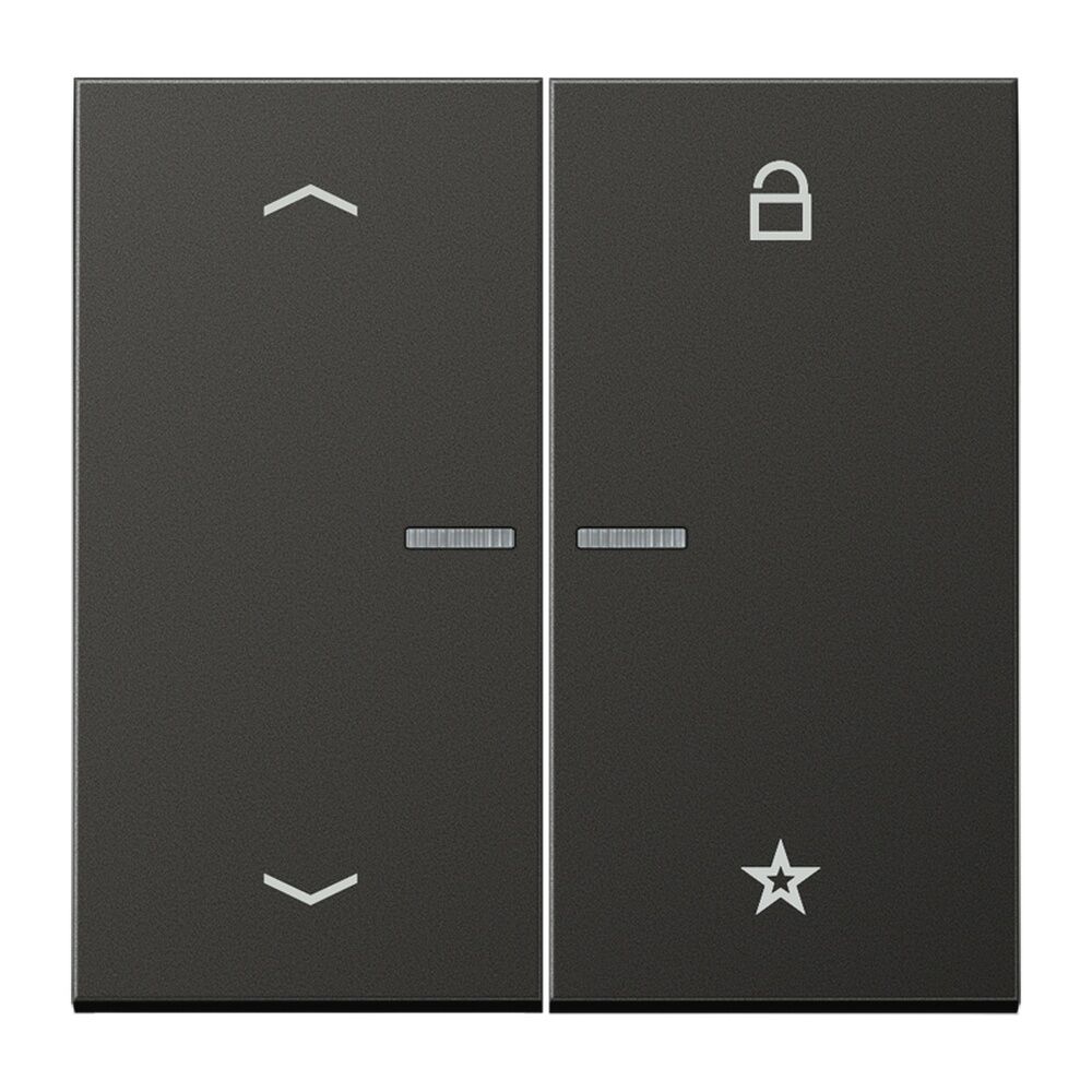 Jung eNet Funk Steuertaste FMAL1701PAN