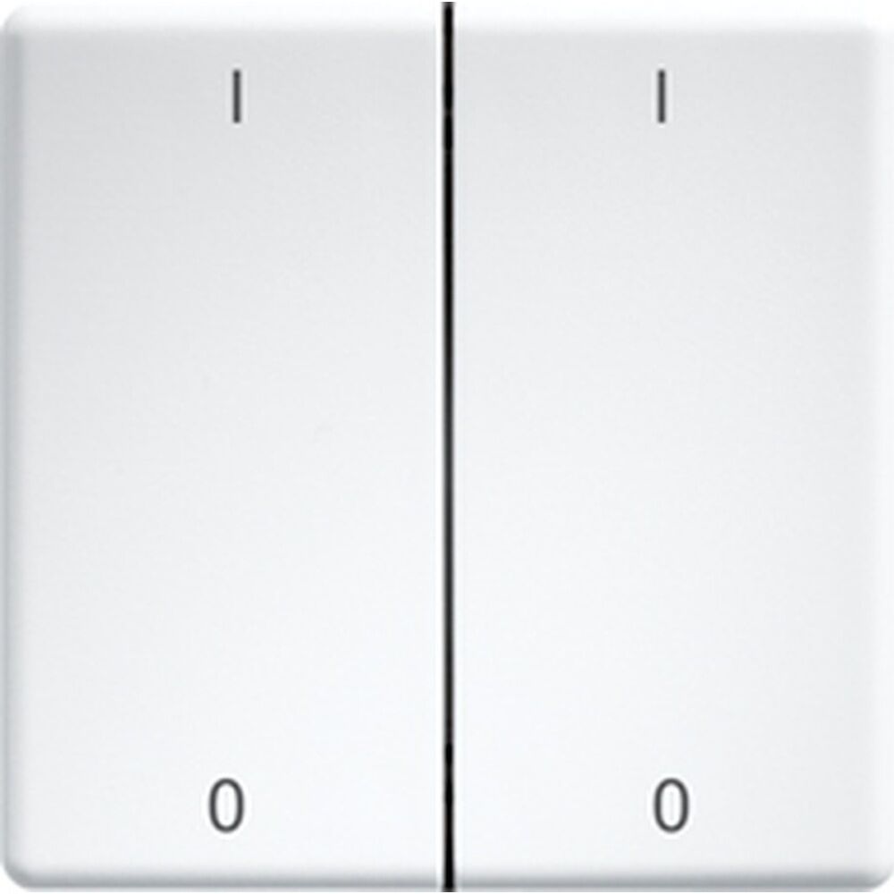 ELTAKO Doppelwippen 30000987 Typ DW-FT55-wg+IO