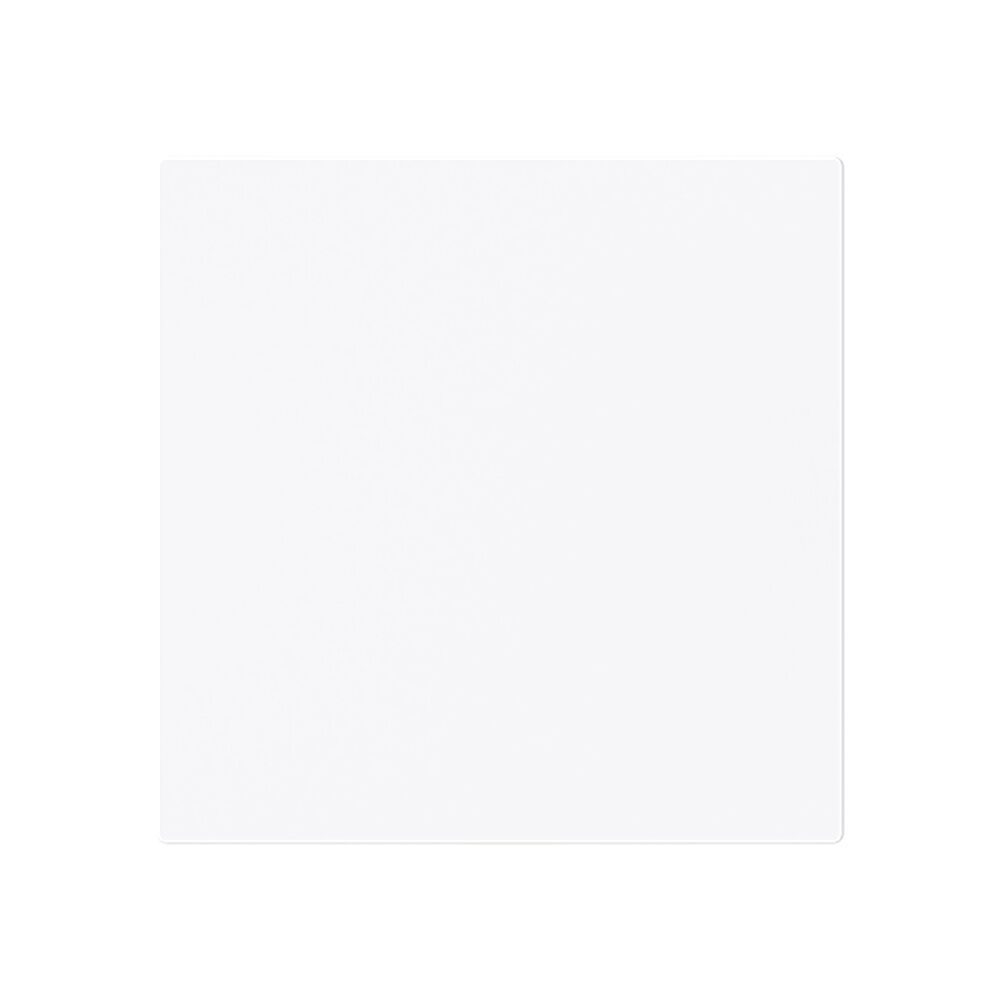 Busch-Jaeger Zentralscheibe 1746-44G Typ 2CKA001753A9917 