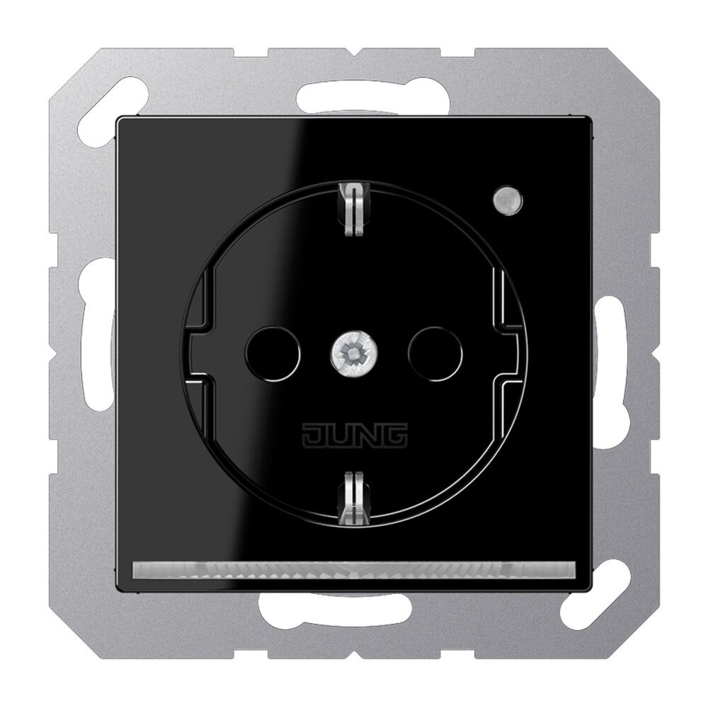 Jung SCHUKO Steckdose A1520-OSWLNW