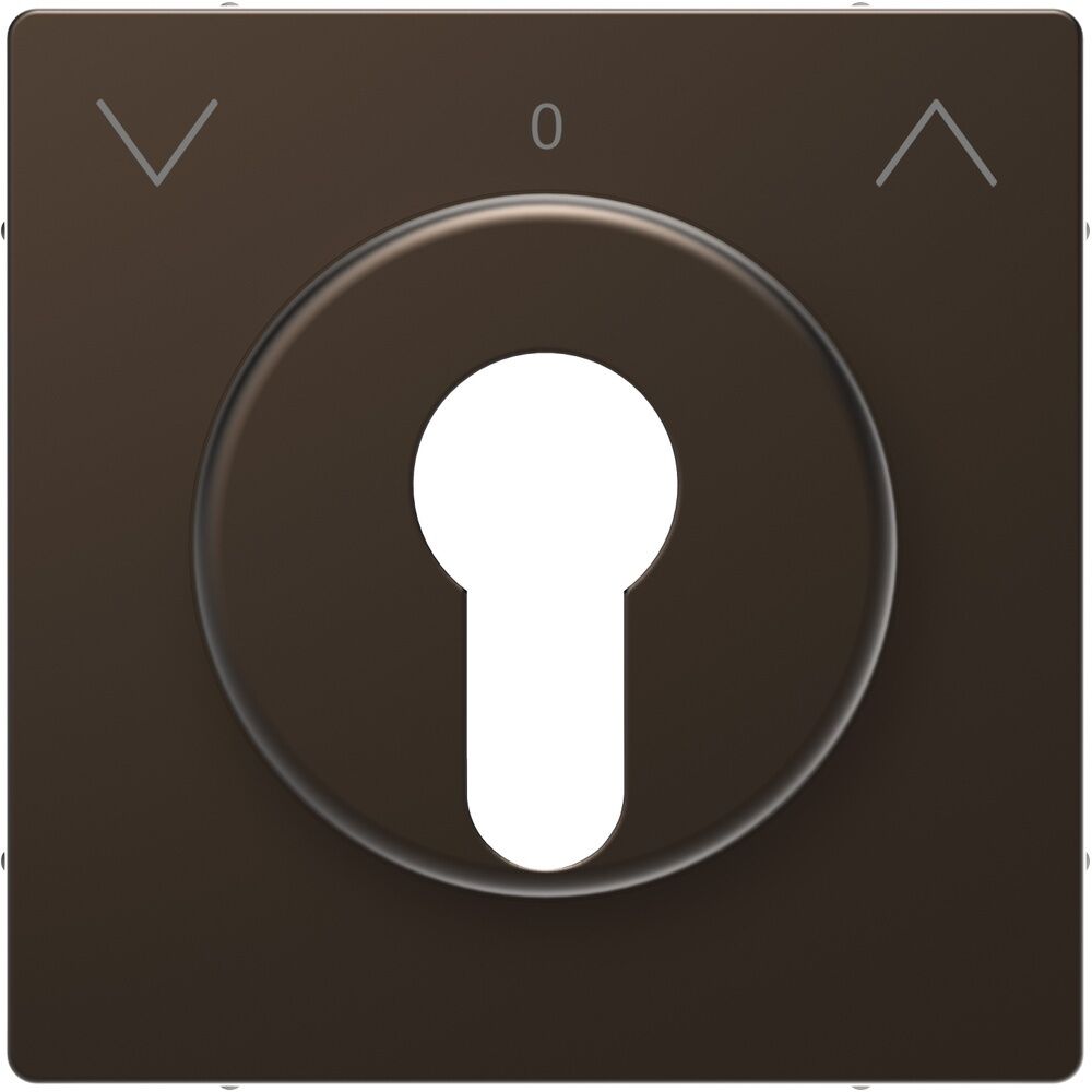 Merten Zentralplatte MEG3883-6052