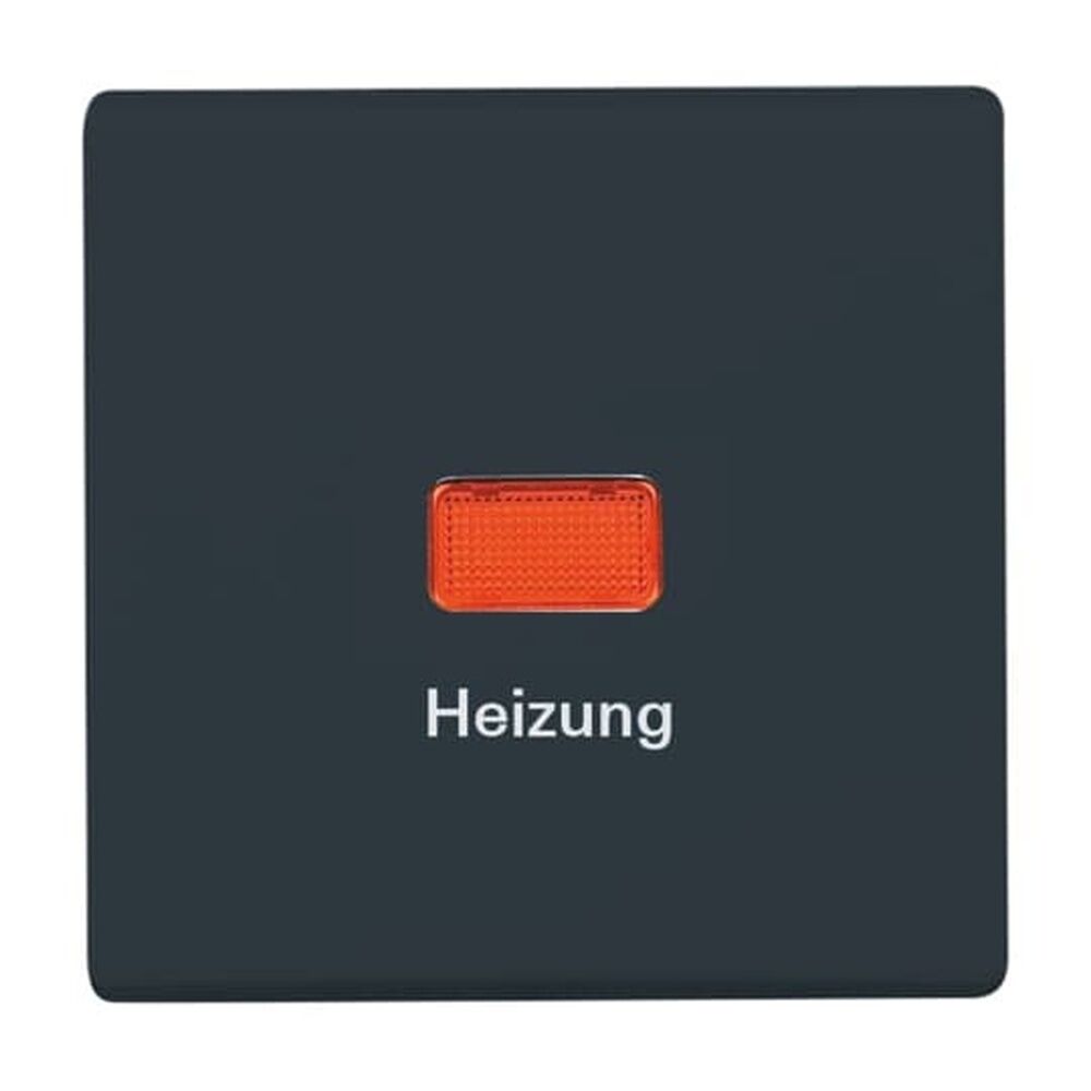 Busch-Jaeger Wippe 2102 H-35 Nr. 2CKA001731A1684 