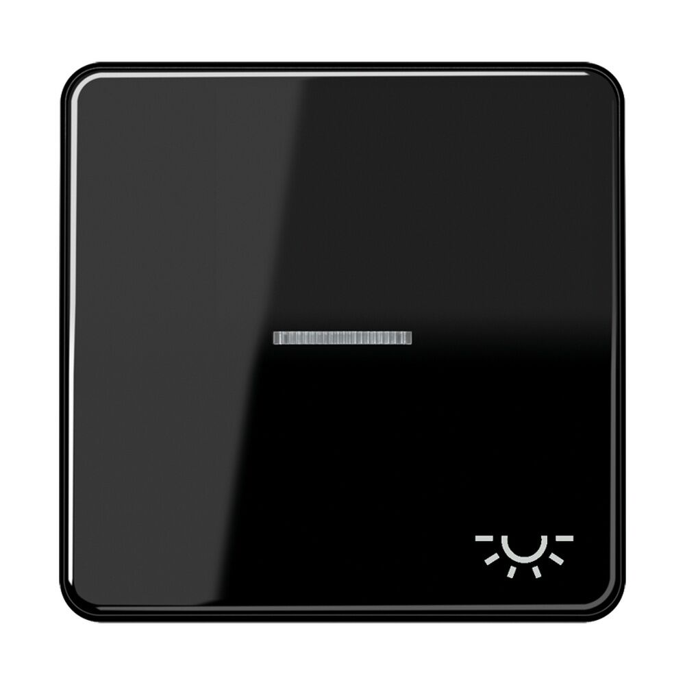 Jung Wippe CD 590 KO5L SW