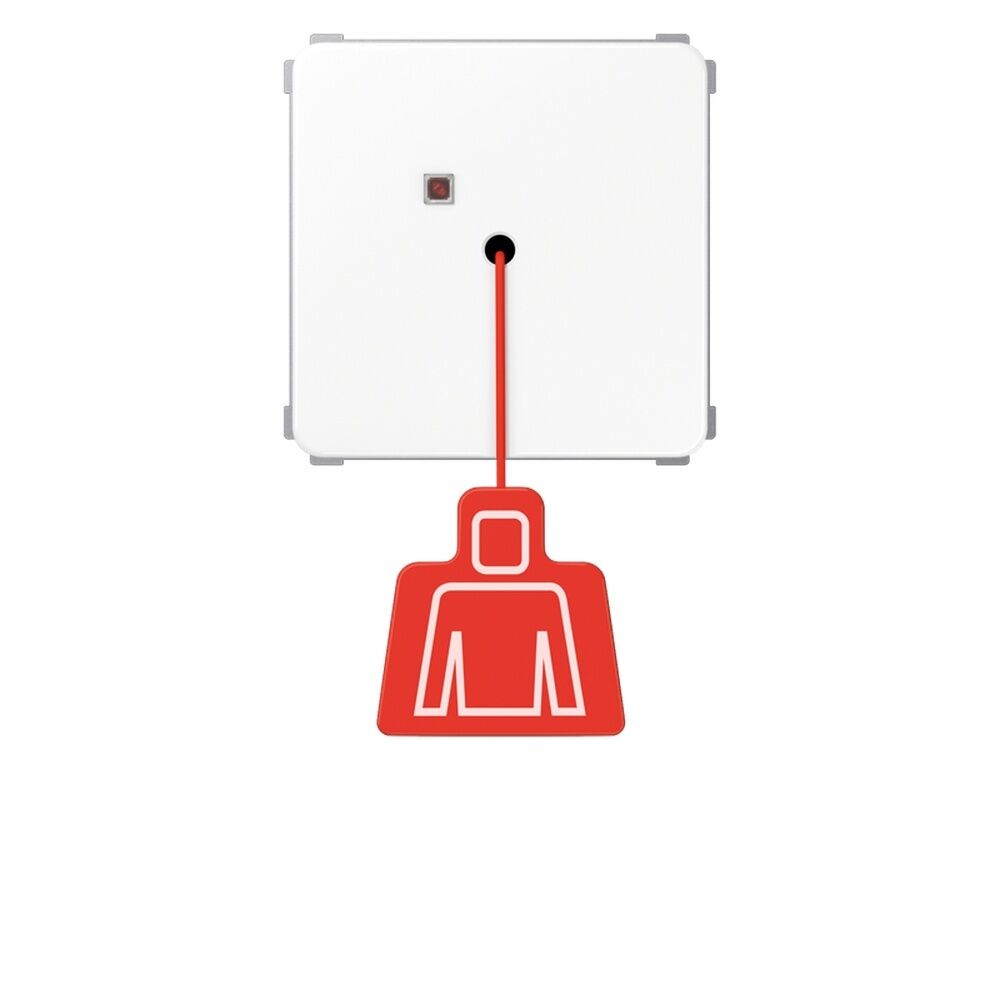 Jung Zugtaster NRS CD 0834 ZT WW
