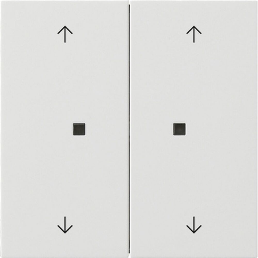 Gira Wippe 2fach 5386112