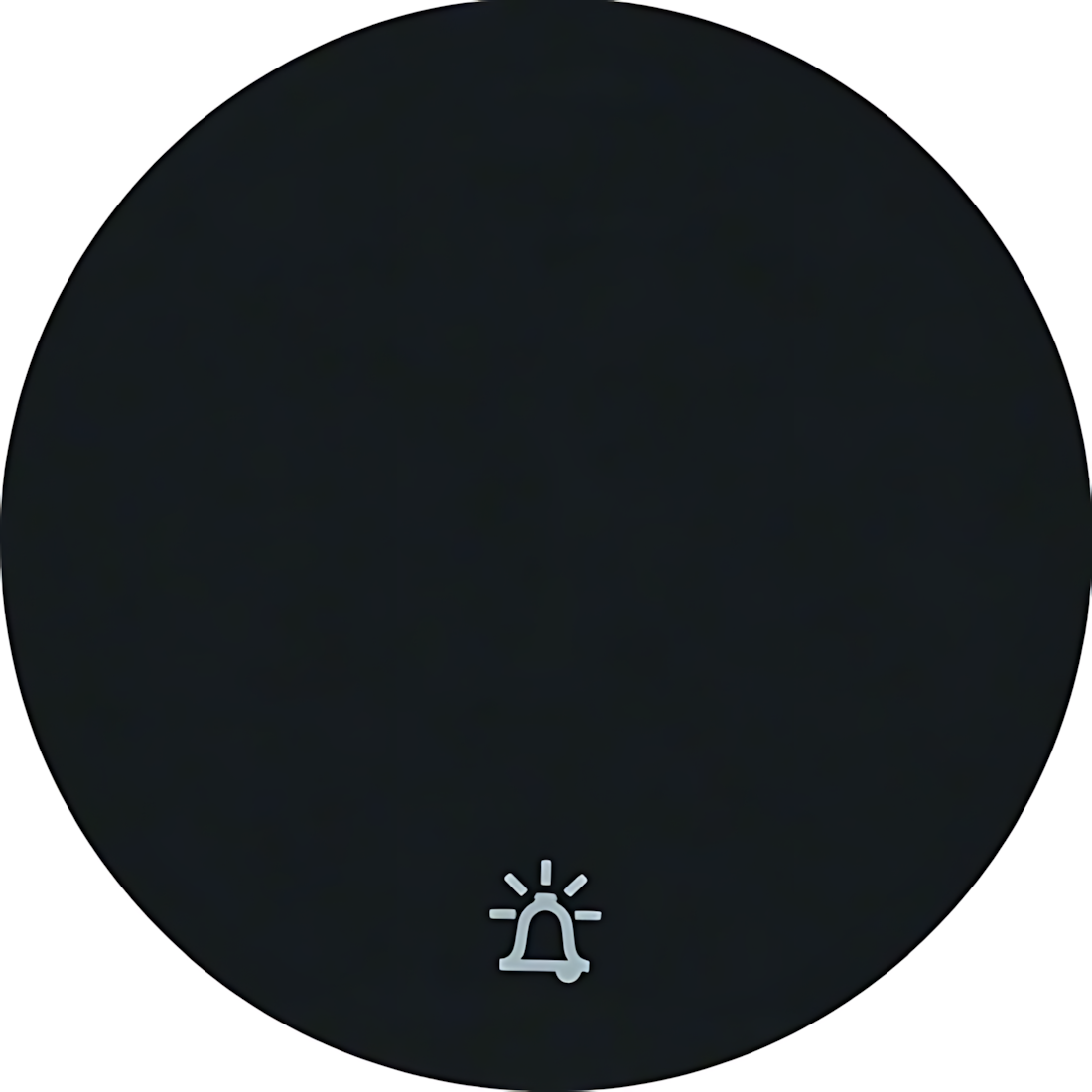 Berker Wippe 16202025