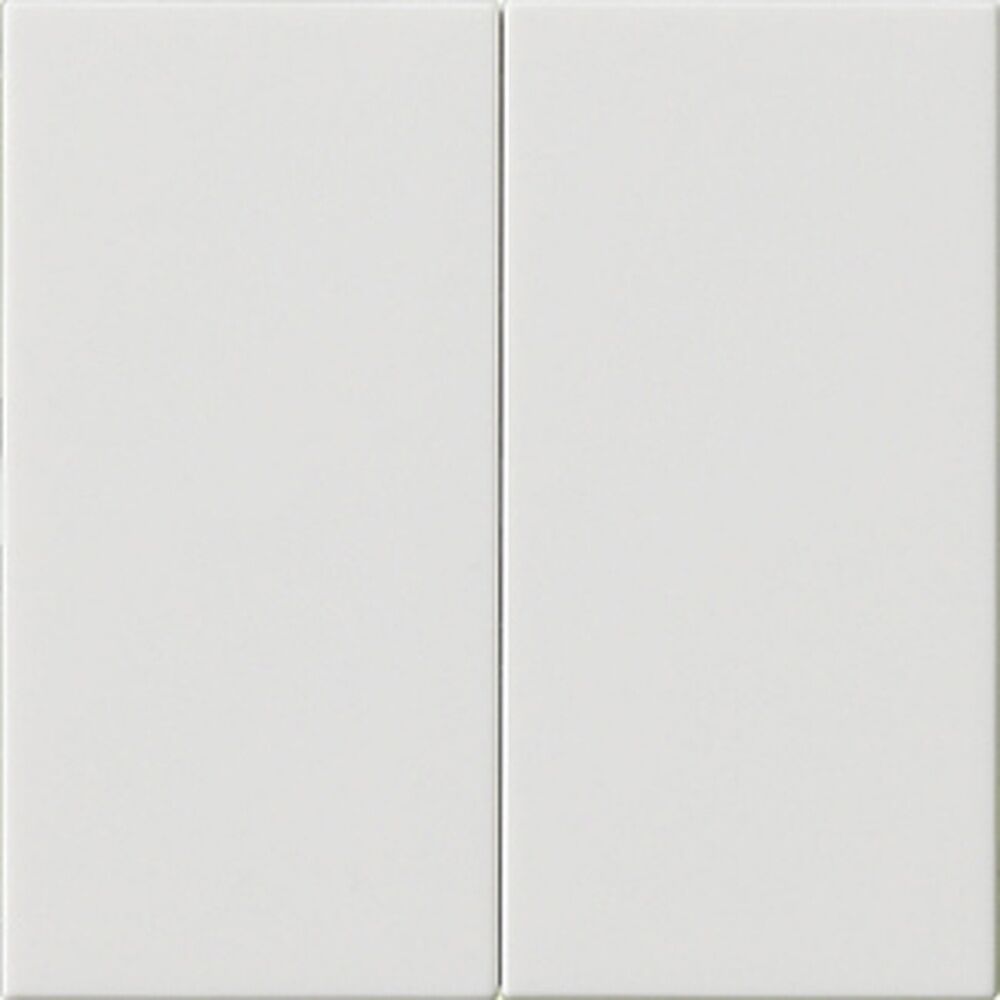 Gira Wippe 2fach 537003