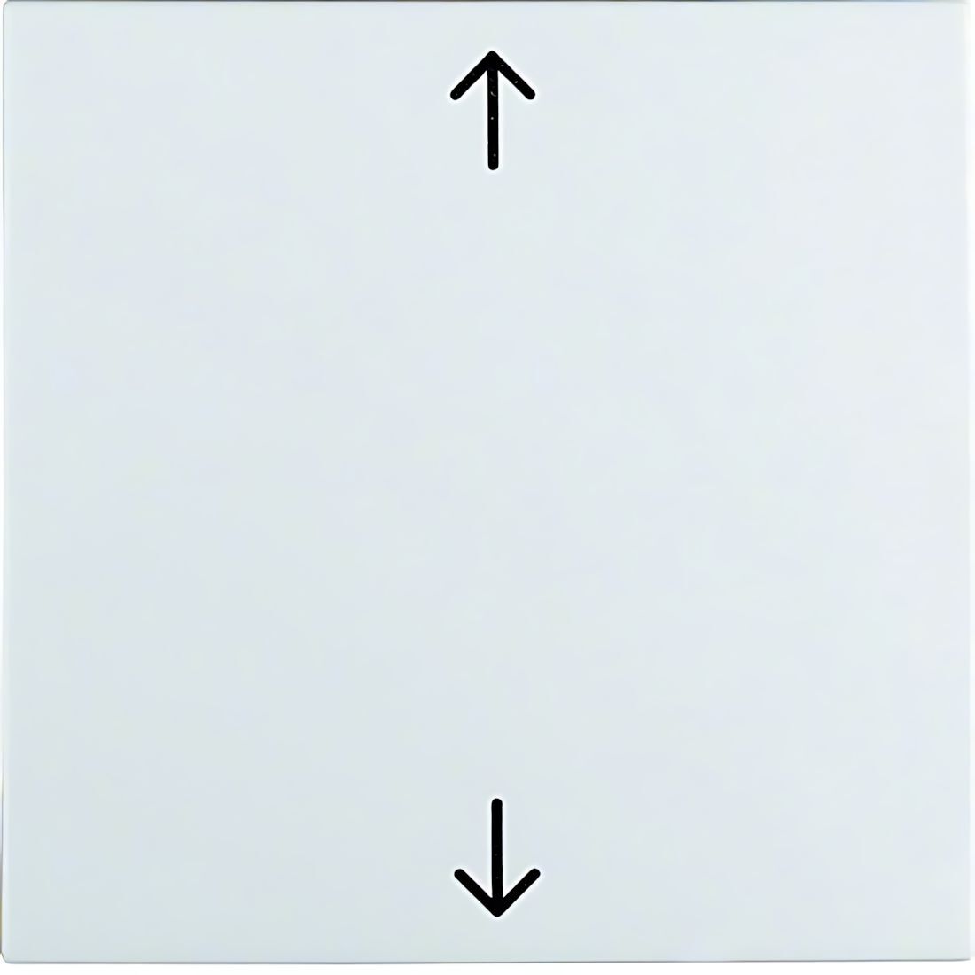 Berker Wippe 16201919