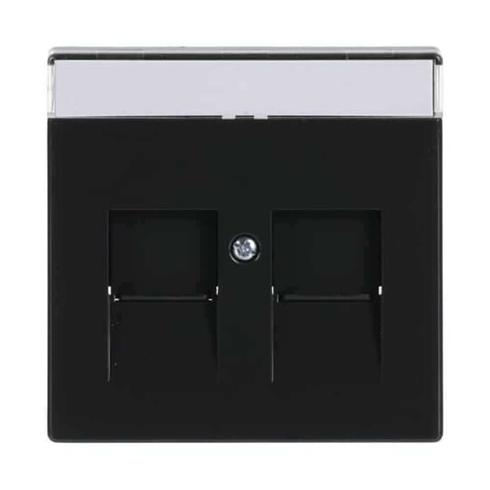 Busch-Jaeger Zentralscheibe 1800-81 Nr. 2CKA001710A3627