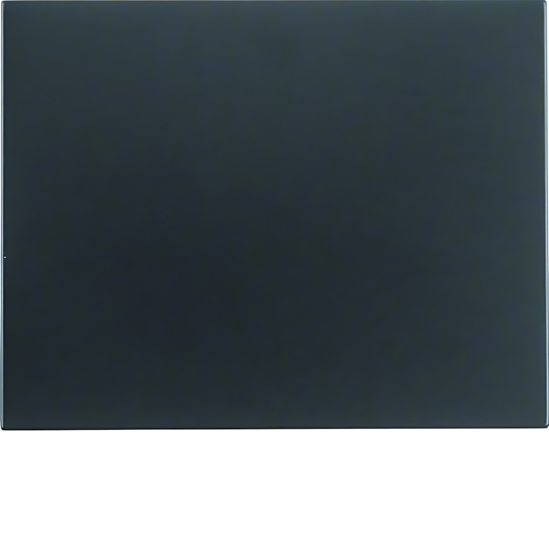 Berker Wippe 14057006 