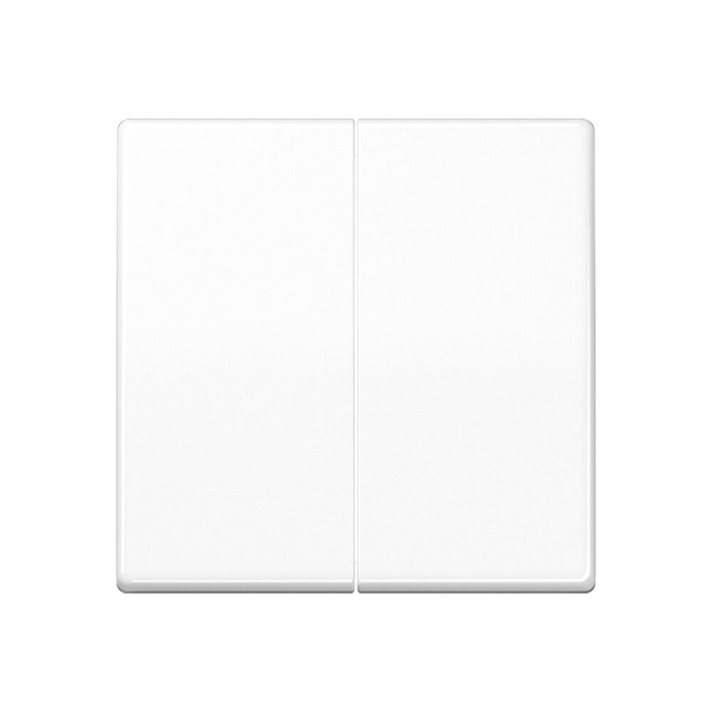 Jung Wippe AS 591-5 BF WW