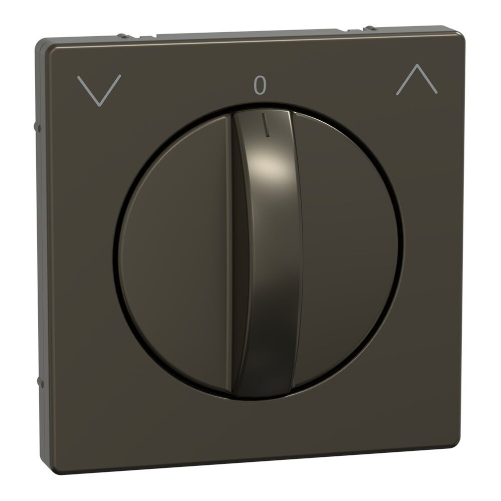 Merten Zentralplatte MEG3875-6052