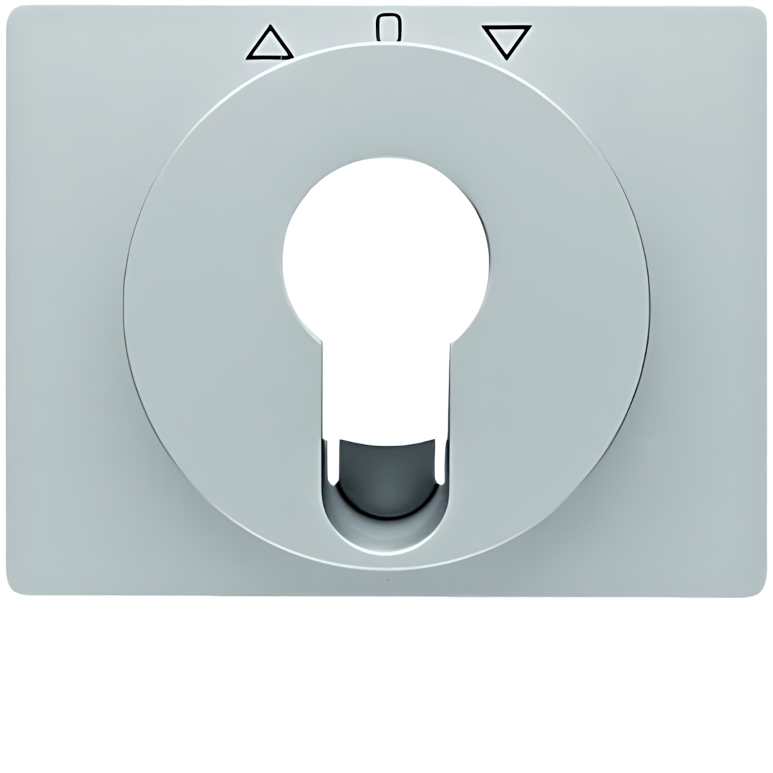 Berker Zentralstück 15047103