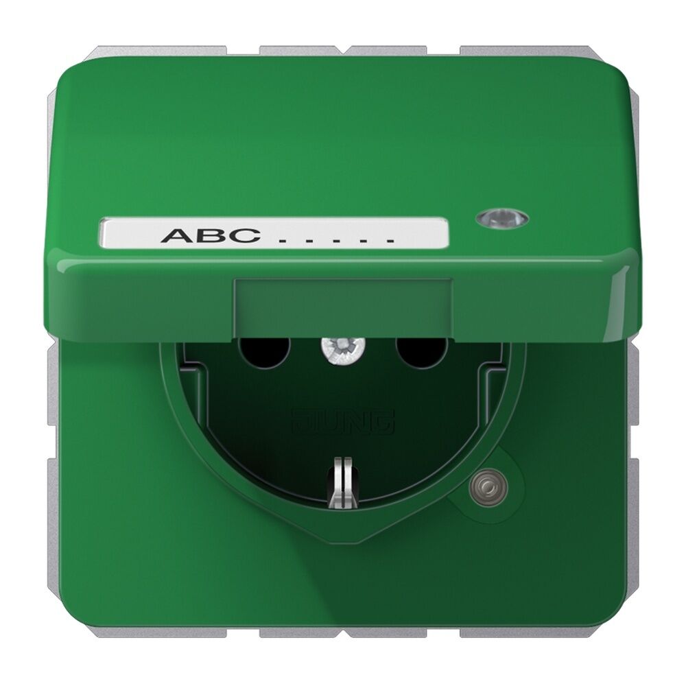 Jung Schutzkontakt Steckdose CD 1520 NAKLKO GN