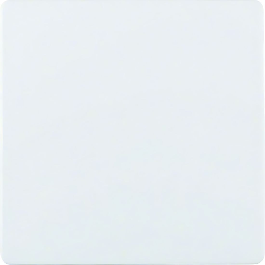 Berker Zentralplatte 75940489