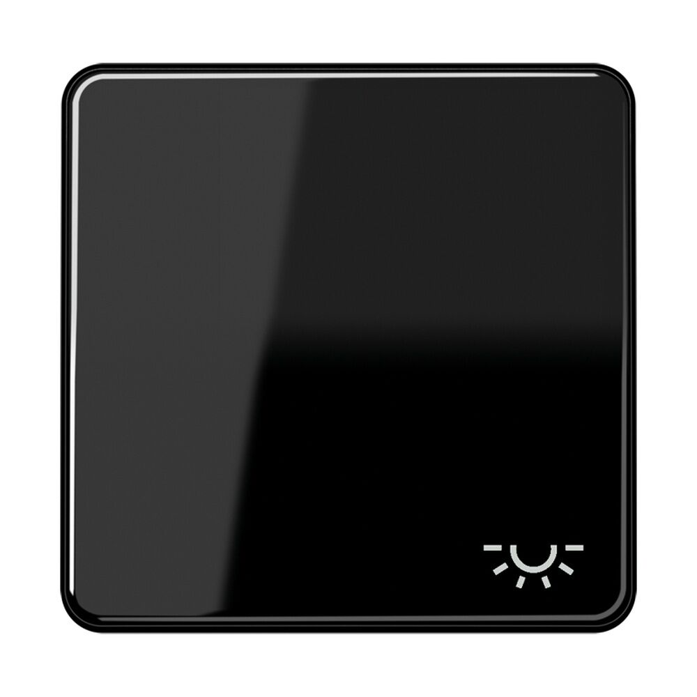 Jung Wippe CD 590 L SW