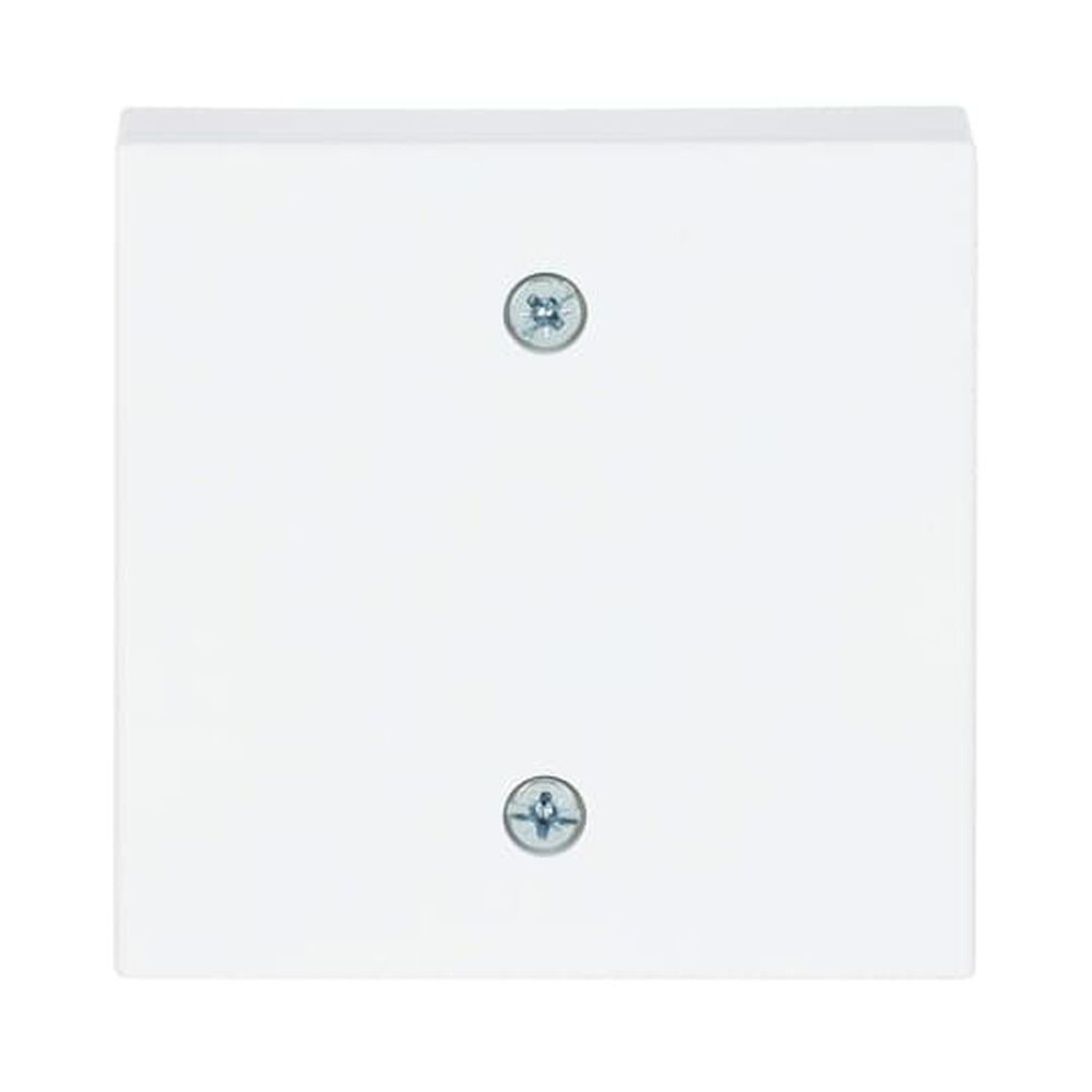 Busch-Jaeger Zentralscheibe 1796-84 Nr. 2CKA001753A0311