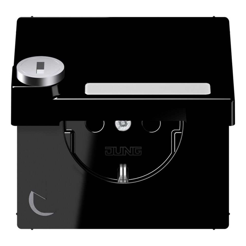 Jung Schutzkontakt Steckdose LS 1520 NAKLSL SW