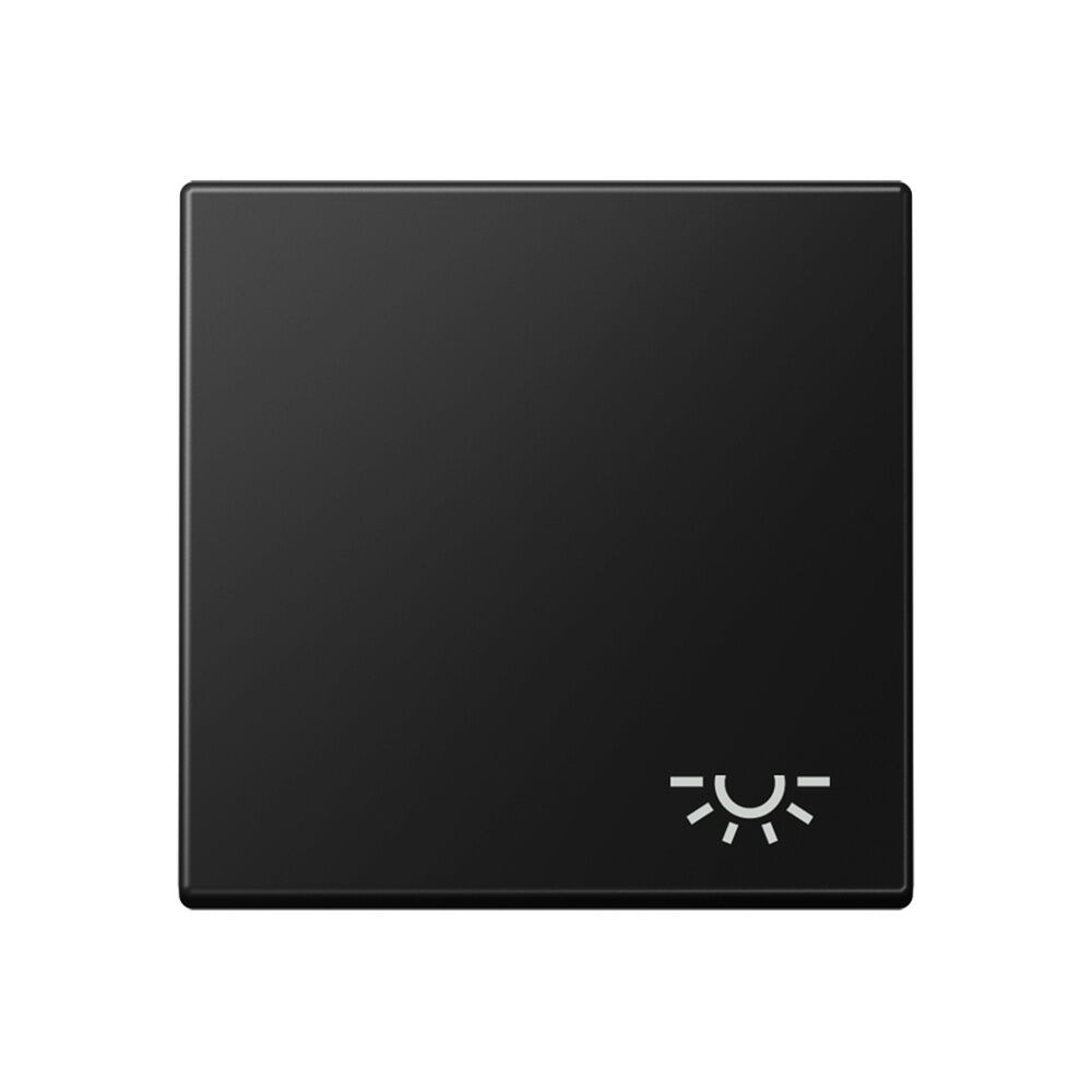 Jung Wippe 1fach A590LSWM