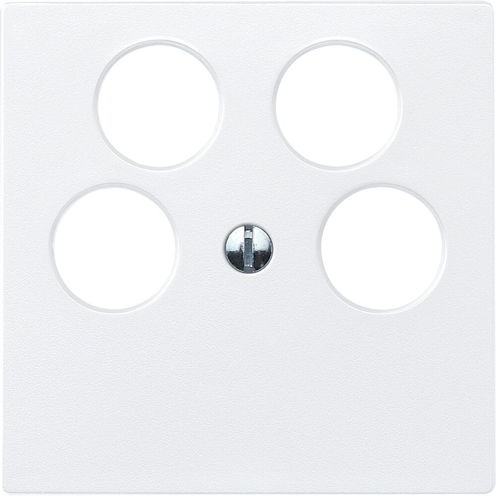 Merten Zentralplatte 295319