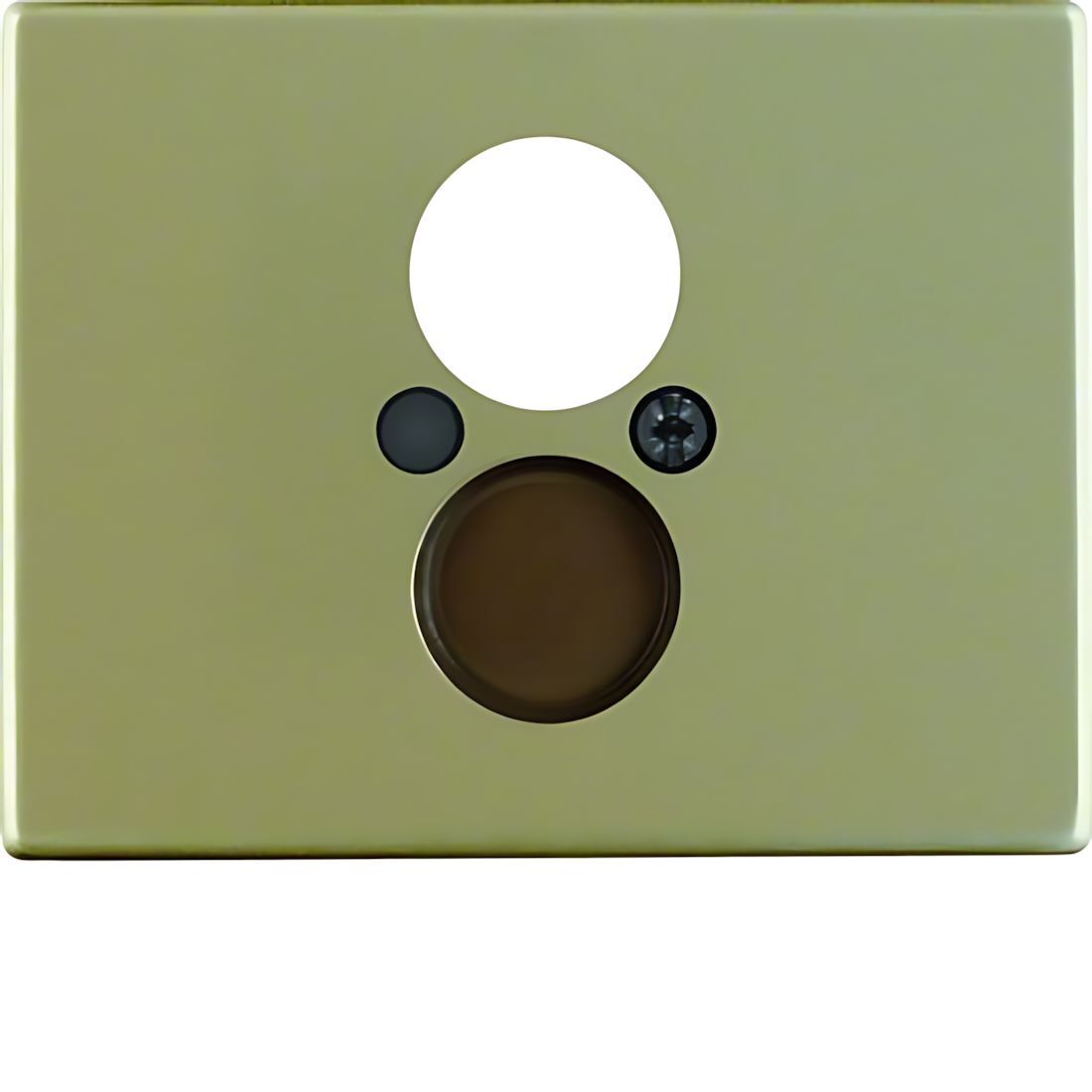 Berker Zentralstück 11840001