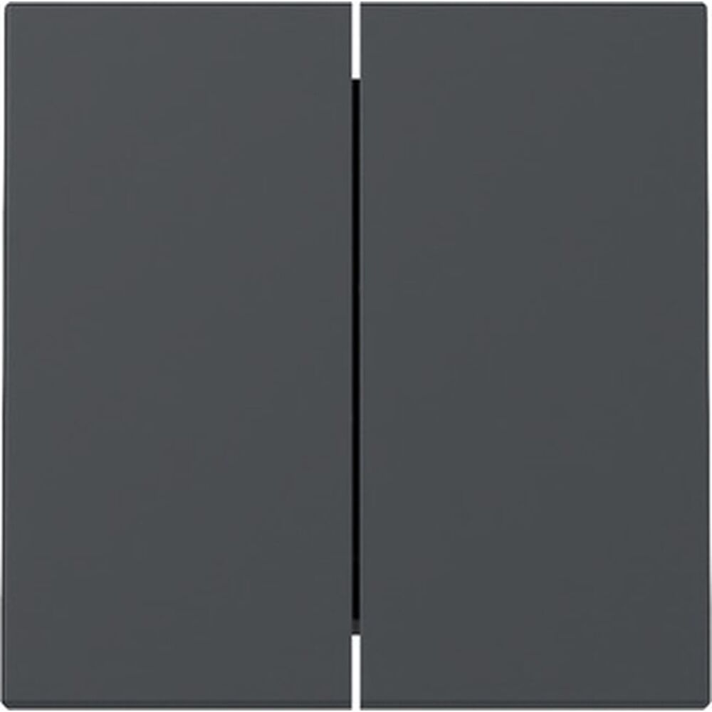 Gira Wippe 2fach 329528