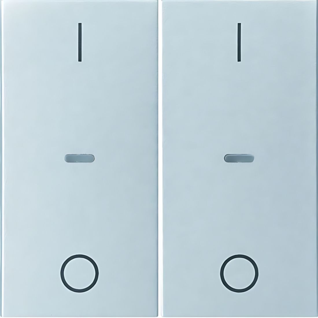 Berker Tastsensor Abdeckung 80962383