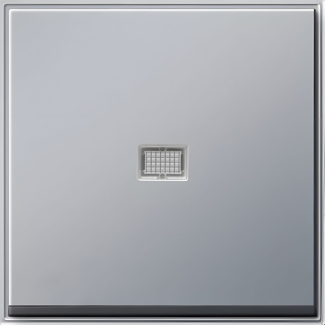 Gira Wippe Kontroll-Fenster 029065