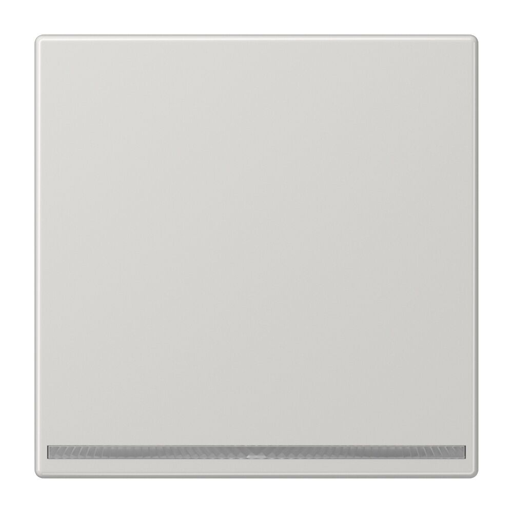 Jung LED Orientierungslicht LS1539-OOLGLNW