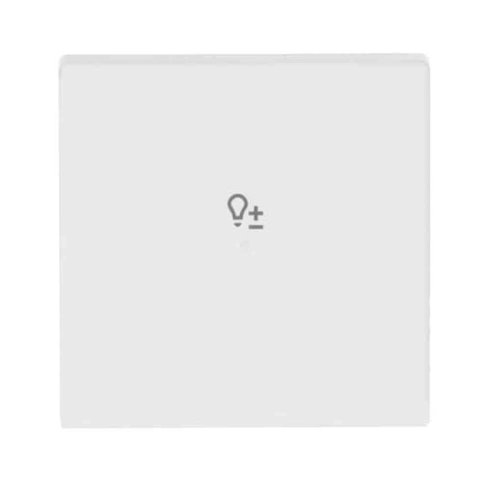 Busch-Jaeger Wippe 6234-10-884 Nr. 2CKA006220A0485