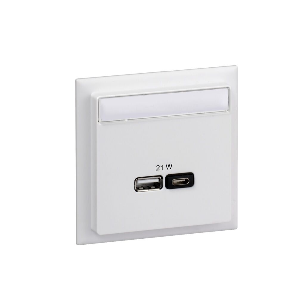 Schneider Electric USB Ladestation INS60522