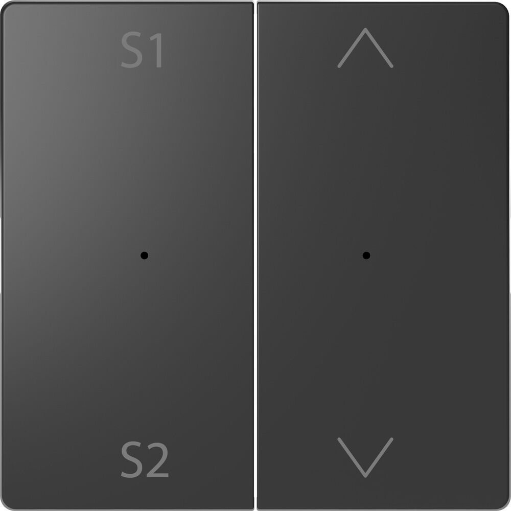 Merten Wippe MEG5227-6034