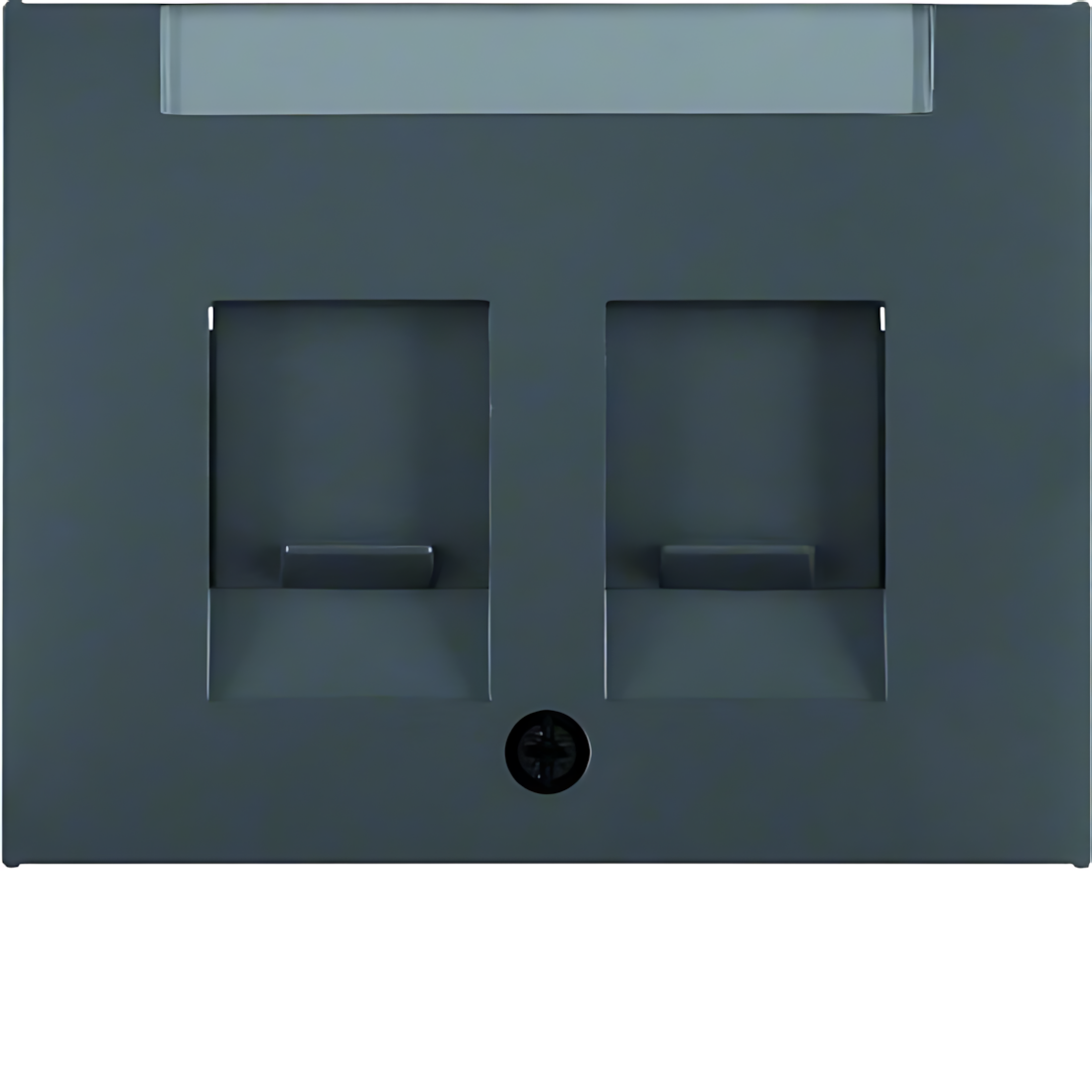 Berker Zentralstück 11827006 