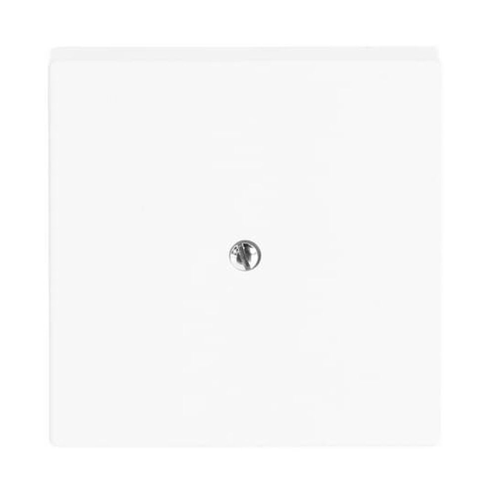 Busch-Jaeger Zentralscheibe 1745-84 Nr. 2CKA001710A3173