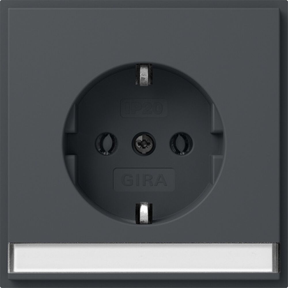 Gira SCHUKO Steckdose 446267