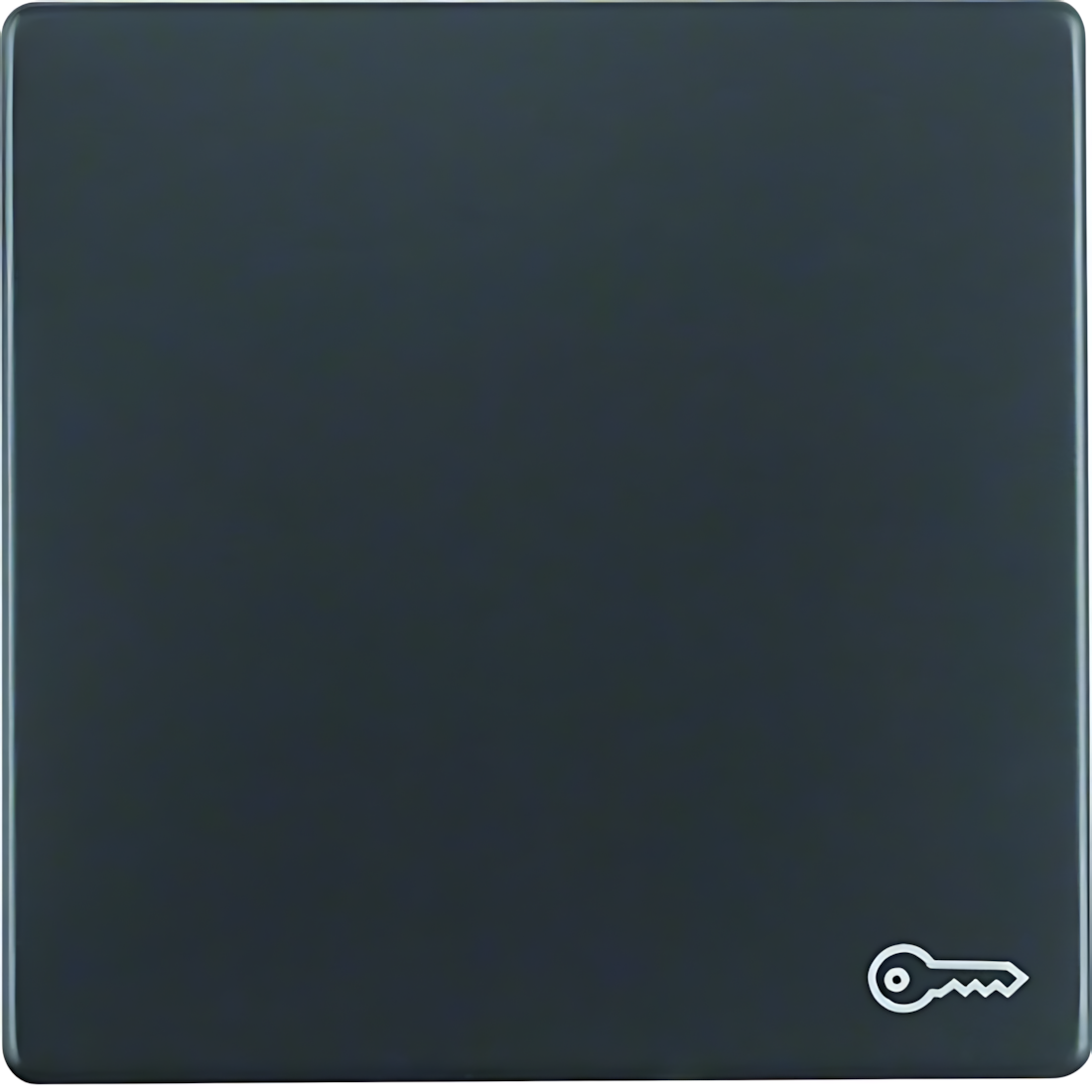 Berker Wippe 16206066 