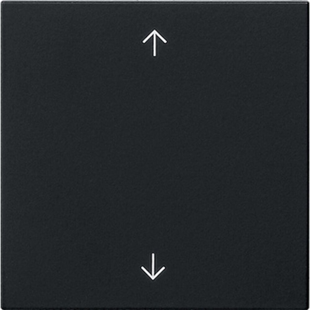 Gira Wippe 1fach 5389005