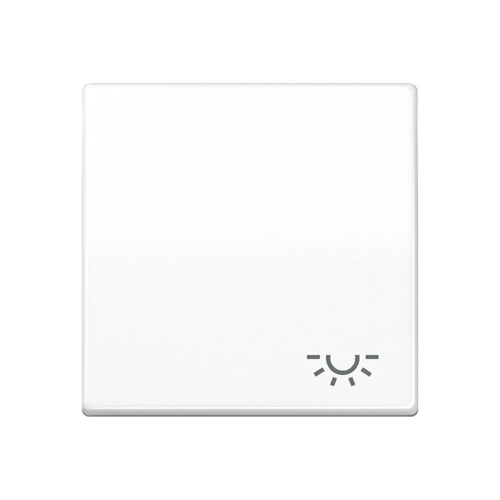 Jung Wippe 1fach SPAS591LWW