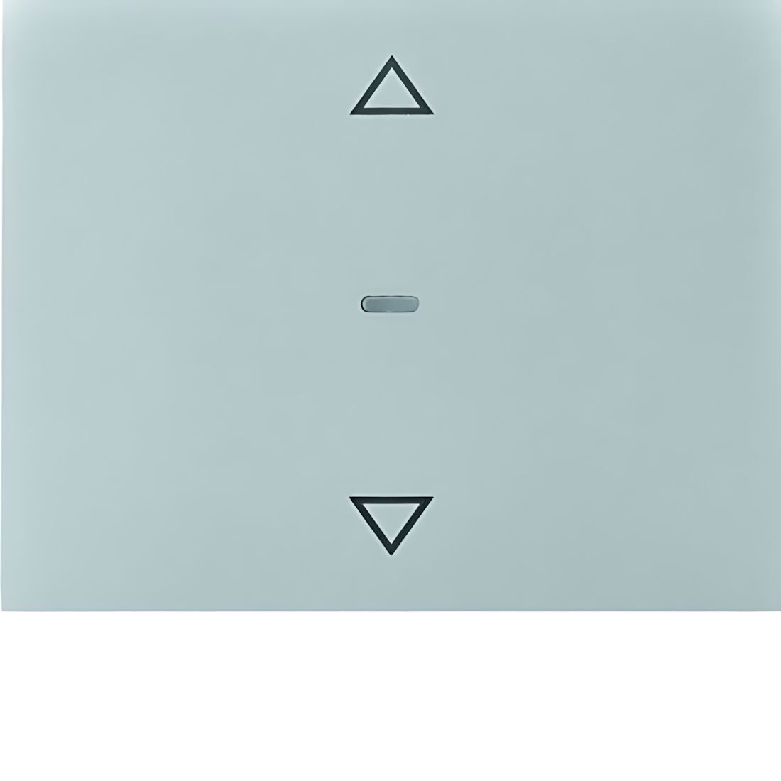 Berker Tastsensor Abdeckung 80961271